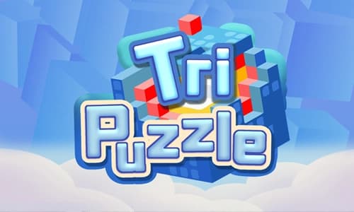 Tri Puzzle